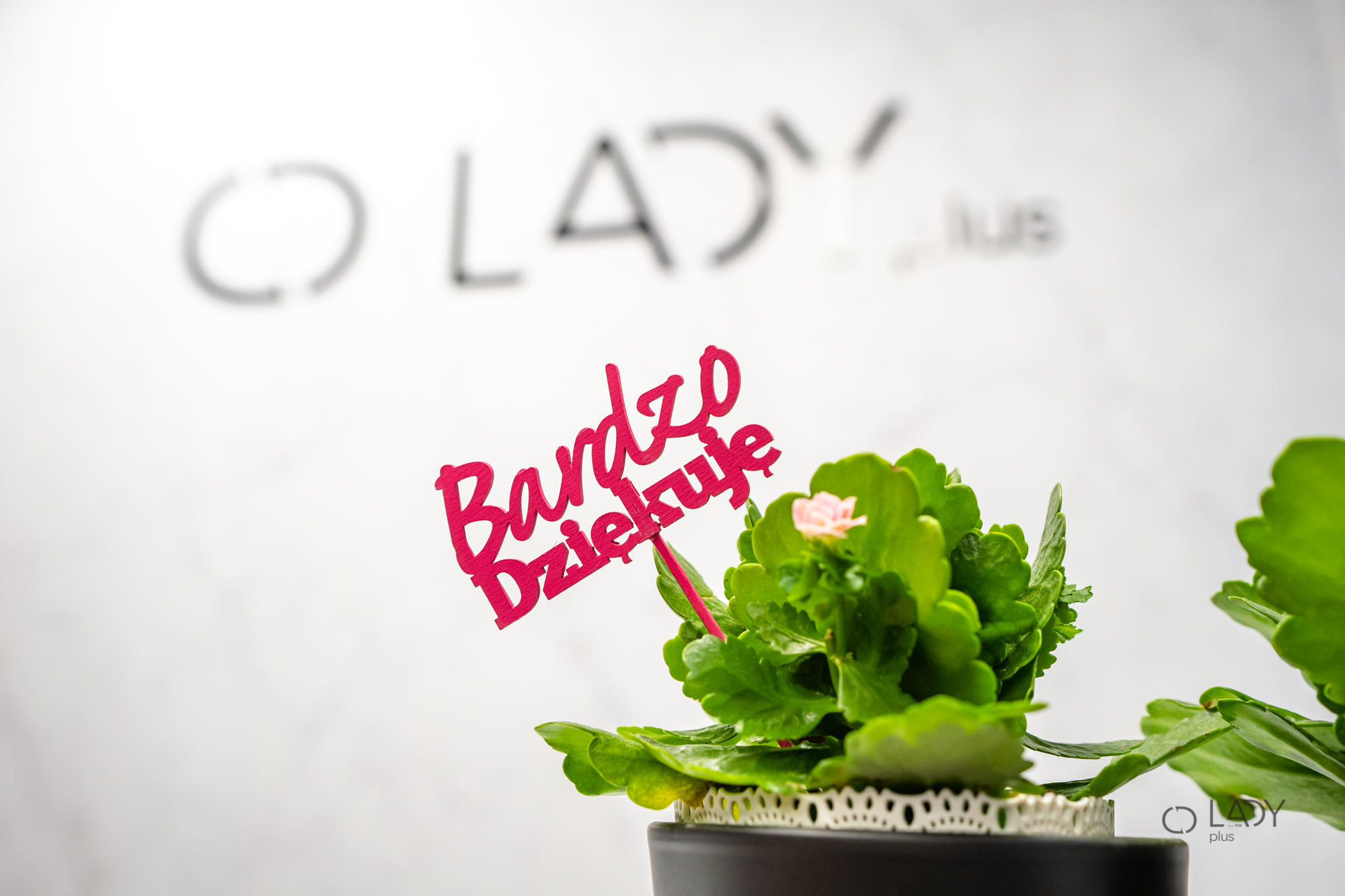 متجر بوتيك للملابس النسائية بالمقاسات الكبيرة وملابس الحمل